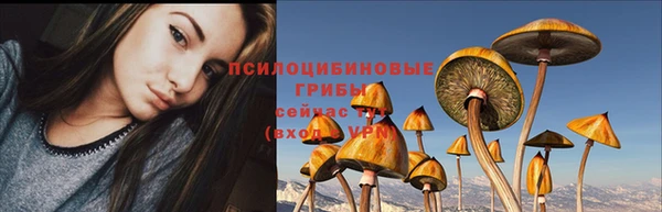 a pvp Беломорск